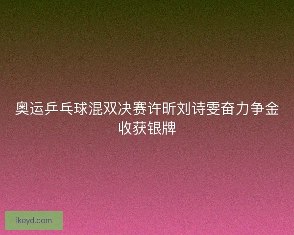 奥运乒乓球混双决赛许昕刘诗雯奋力争金收获银牌